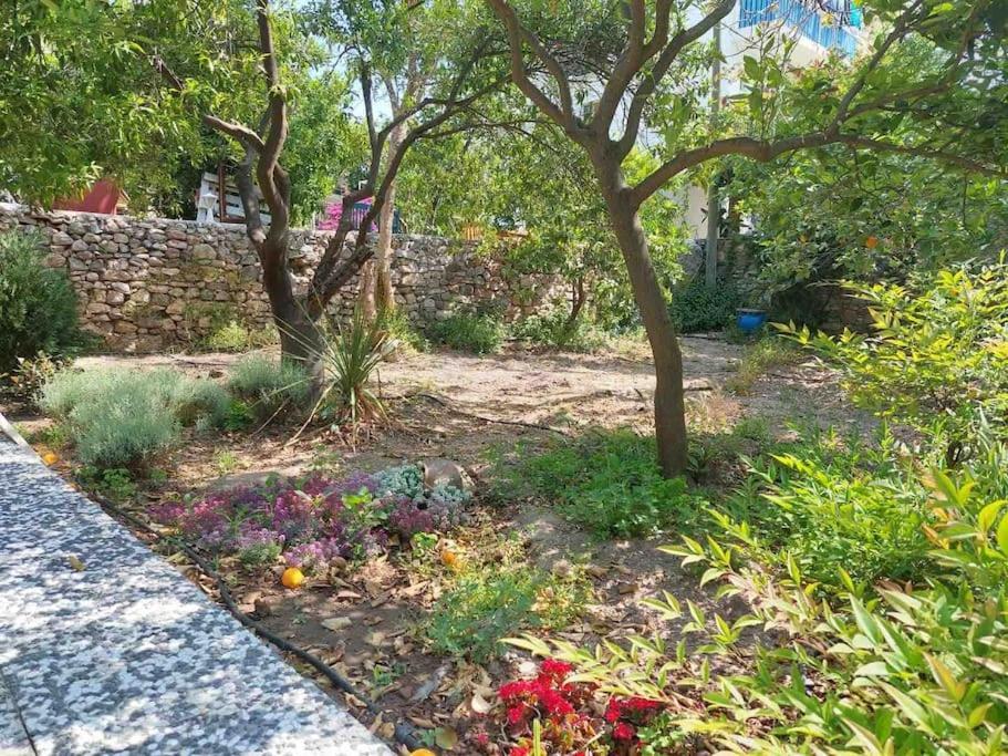 Mel'S Garden House In The Heart Of The City Bodrum Eksteriør billede